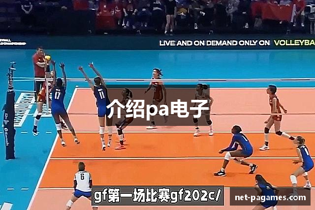 介绍pa电子